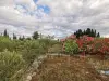 Grand terrain de la vente de notre maison d'hôte - gîte à vendre avec piscine à Perpignan (1).webp